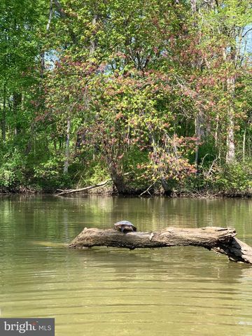 118 NORTH EAST ISLES DR, North East, MD 21901