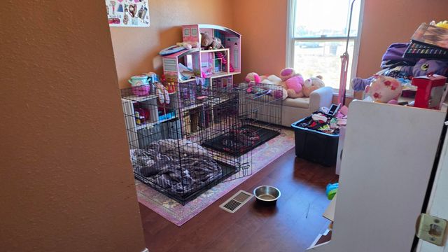 3419 10TH Avenue NW, Rio Rancho, NM 87124