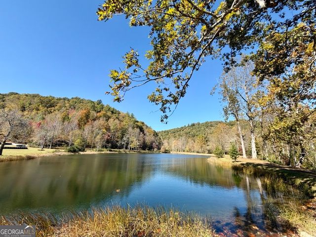 175 Waters Edge Lane, Clarkesville, GA 30523
