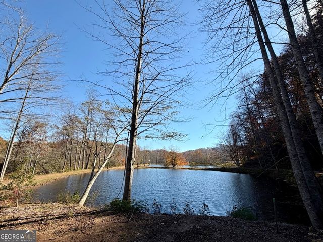 175 Waters Edge Lane, Clarkesville, GA 30523