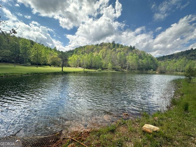 175 Waters Edge Lane, Clarkesville, GA 30523