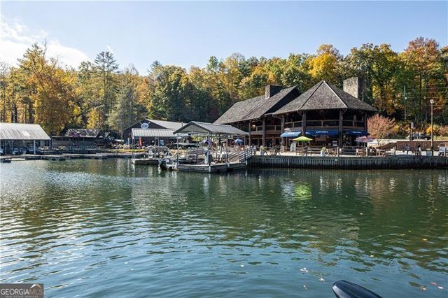 175 Waters Edge Lane, Clarkesville, GA 30523