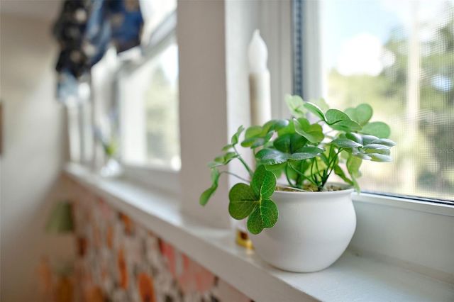 831 N GRANDVIEW STREET, Mount Dora, FL 32757