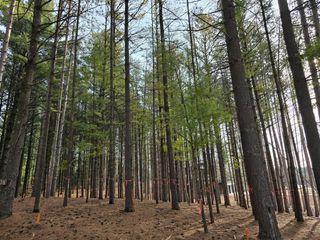 7855 INDIAN LORE ROAD #15, West Bend, WI 53090