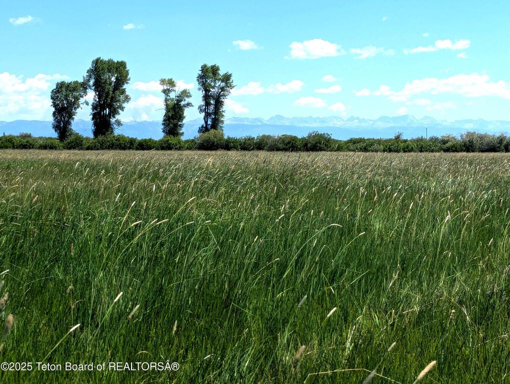 COTTONWOOD-MERNA 23-116, Daniel, WY 83115 photo 10
