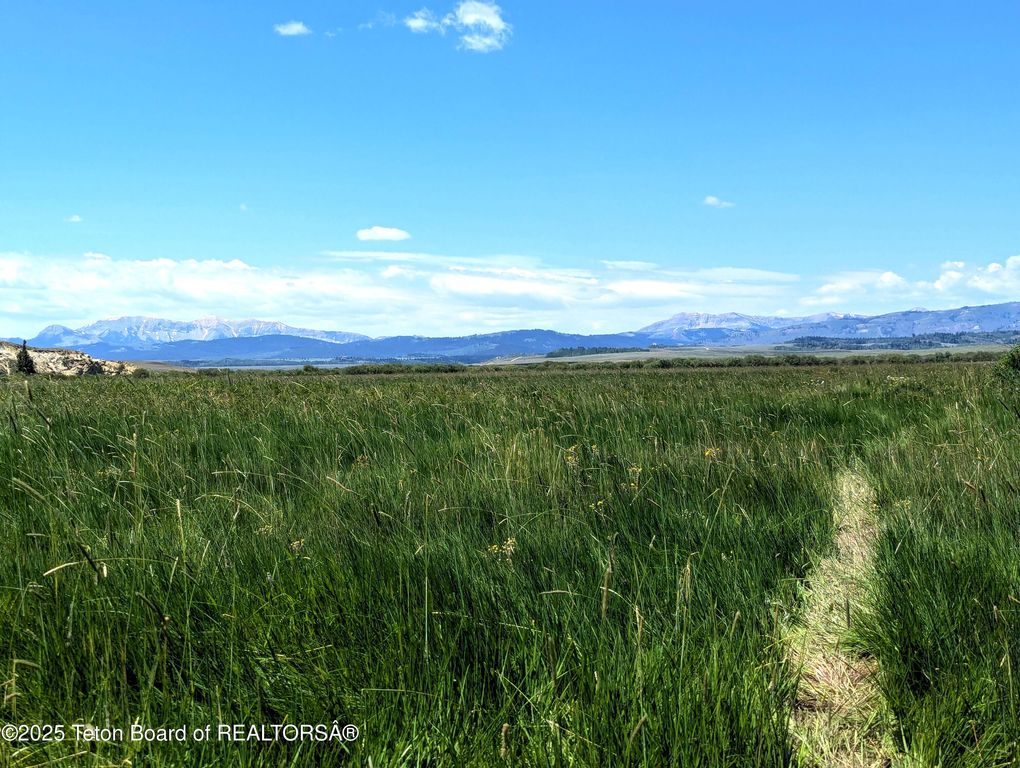 COTTONWOOD-MERNA 23-116, Daniel, WY 83115 photo 15