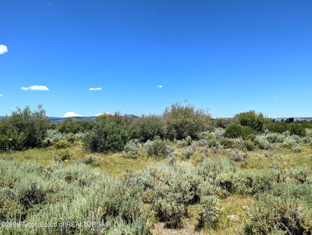 COTTONWOOD-MERNA 23-116, Daniel, WY 83115 photo 32