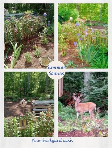 40 Woodrise Road 40, Falmouth, MA 02540