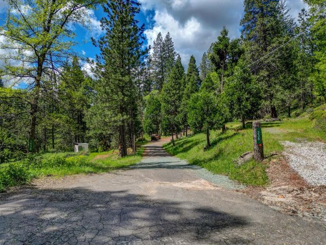 238 Cedar Dr, Hathaway Pines, CA 95233