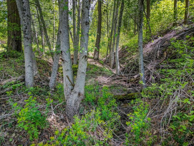238 Cedar Dr, Hathaway Pines, CA 95233
