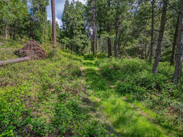 238 Cedar Dr, Hathaway Pines, CA 95233