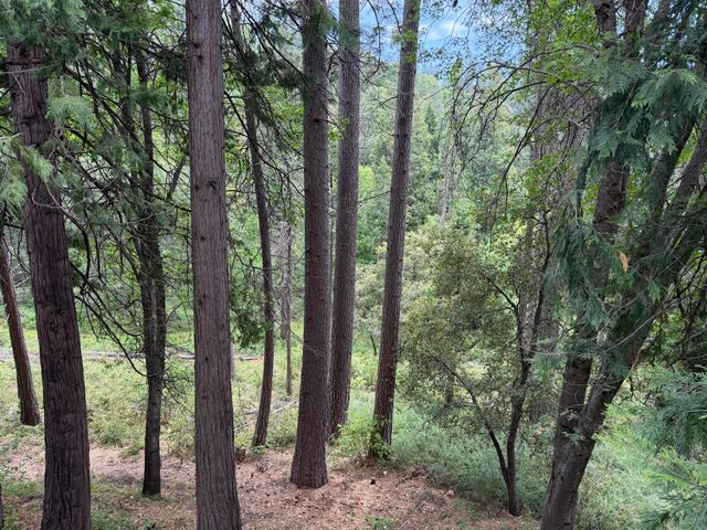 238 Cedar Dr, Hathaway Pines, CA 95233