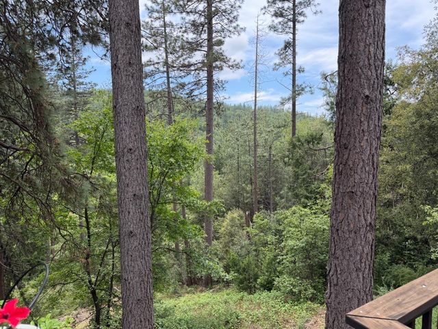 238 Cedar Dr, Hathaway Pines, CA 95233