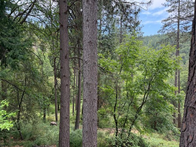 238 Cedar Dr, Hathaway Pines, CA 95233