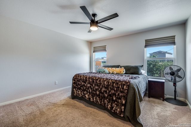 6119 Still Meadow, San Antonio, TX 78222