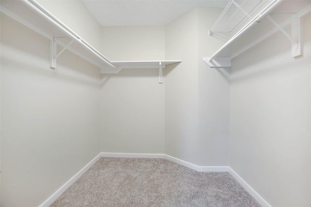 14515 Bradford Colony Drive, Houston, TX 77084