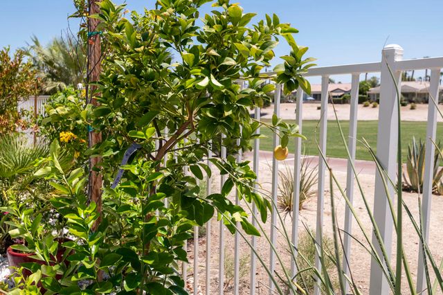 81711 Brittlebush Lane, La Quinta, CA 92253