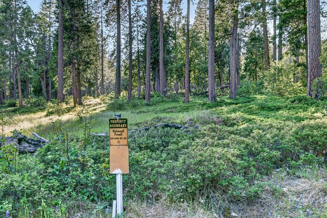 453 Blackbird Ln, Avery, CA 95224