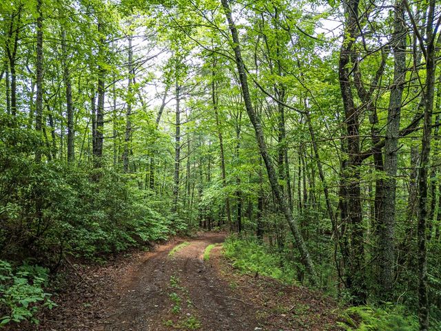 286 Rj Mountain View Drive, Murphy, NC 28906