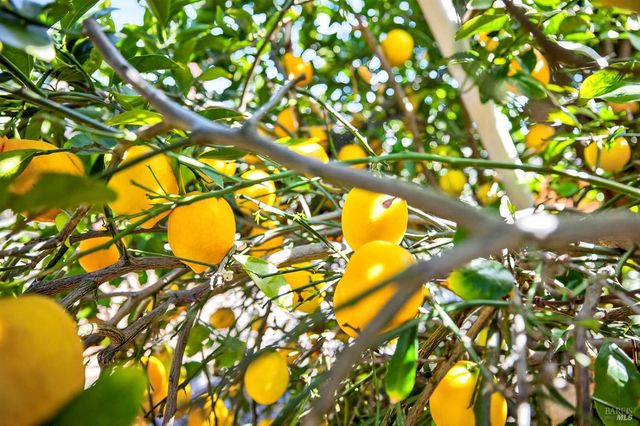 5035 Boulder Ln, Santa Rosa, CA 95405