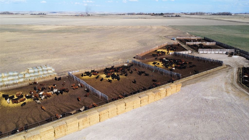 NHN 1st Road S, Fort Shaw, MT 59443 photo 10