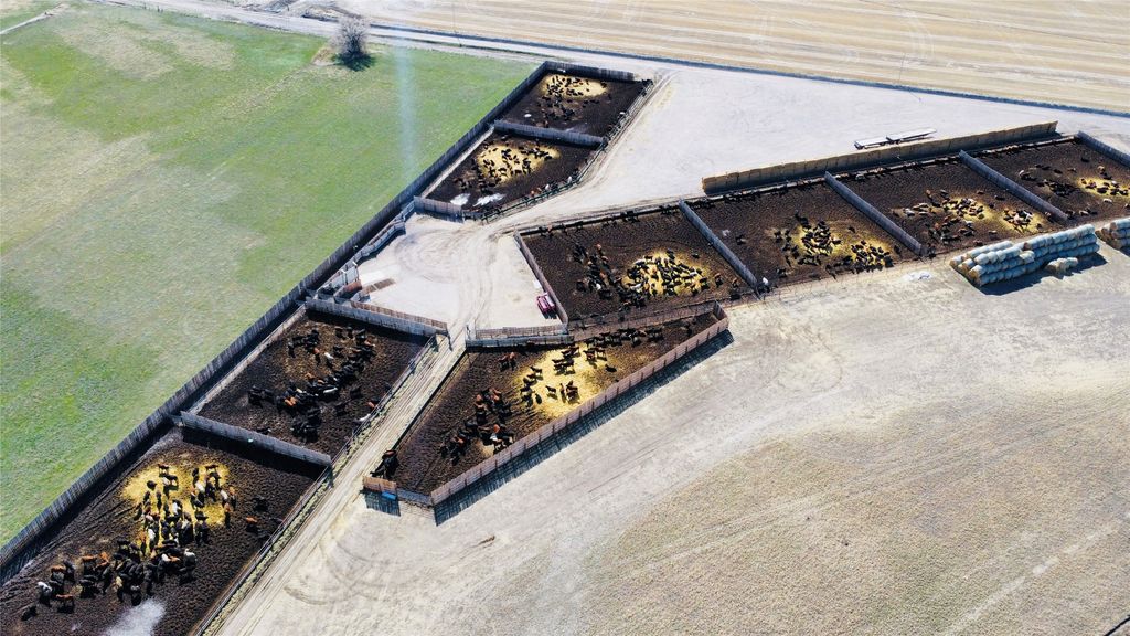 NHN 1st Road S, Fort Shaw, MT 59443 photo 13