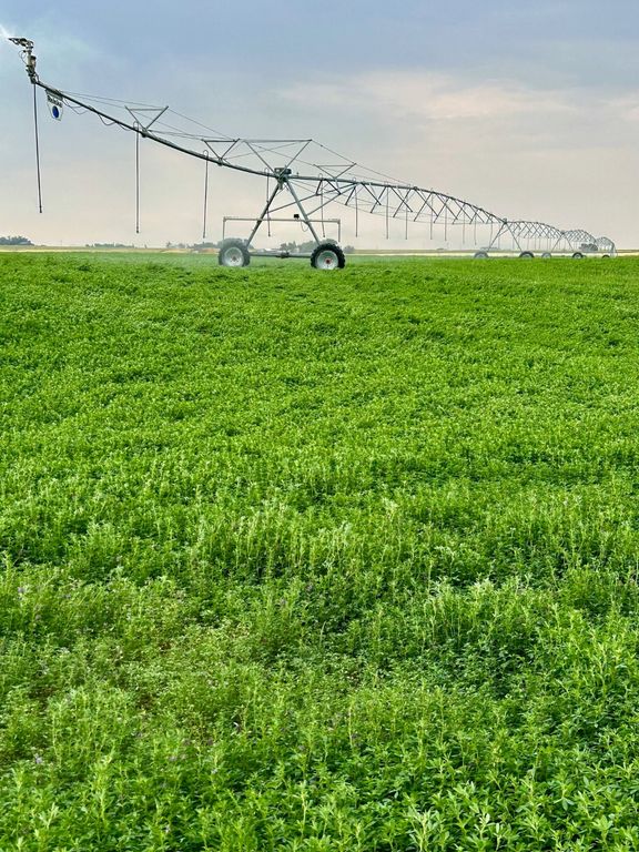 NHN 1st Road S, Fort Shaw, MT 59443 photo 25