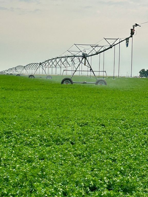 NHN 1st Road S, Fort Shaw, MT 59443 photo 26