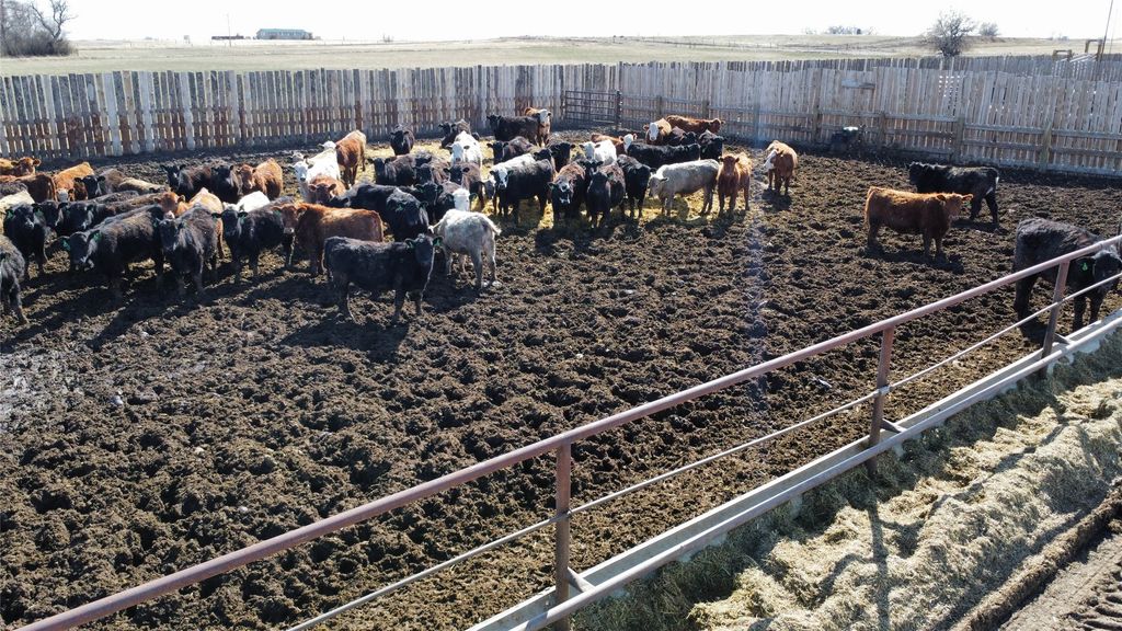 NHN 1st Road S, Fort Shaw, MT 59443 photo 5