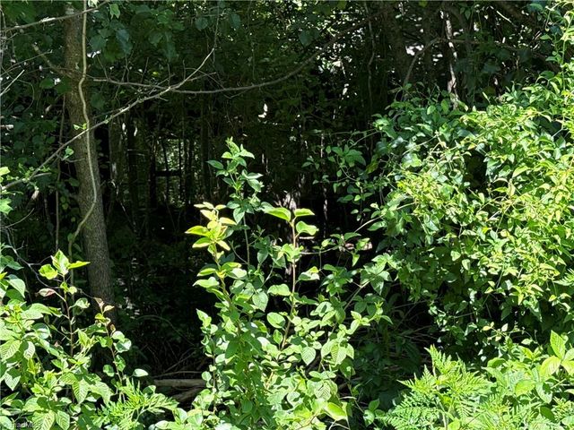 TBD Worthington Drive, North Wilkesboro, NC 28659