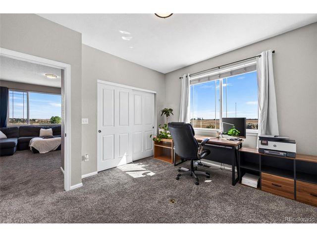 337 Peabody St, Castle Rock, CO 80104