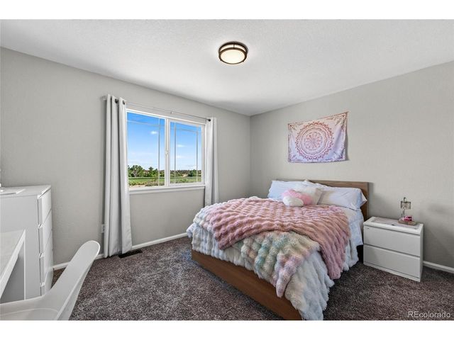 337 Peabody St, Castle Rock, CO 80104