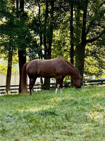 2865 Hightower Road, Ball Ground, GA 30107