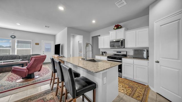 199 Birch Forest Lane, Boyd, TX 76023