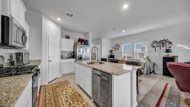 199 Birch Forest Lane, Boyd, TX 76023