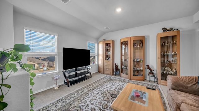 199 Birch Forest Lane, Boyd, TX 76023