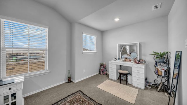 199 Birch Forest Lane, Boyd, TX 76023