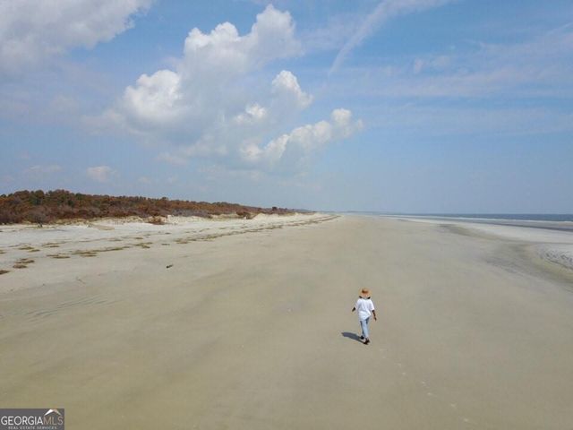 1871 East Perimeter Road SE, Sapelo Island, GA 31327