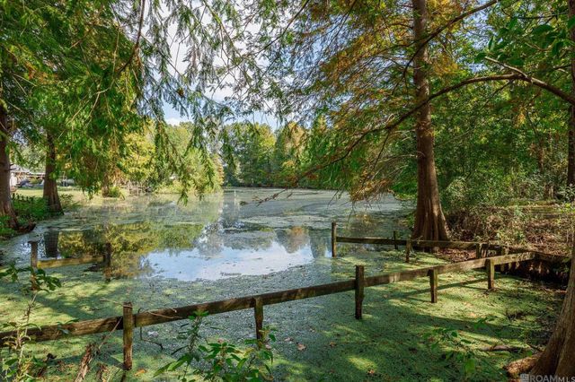 44311 Mi Mis Ln, St Amant, LA 70774