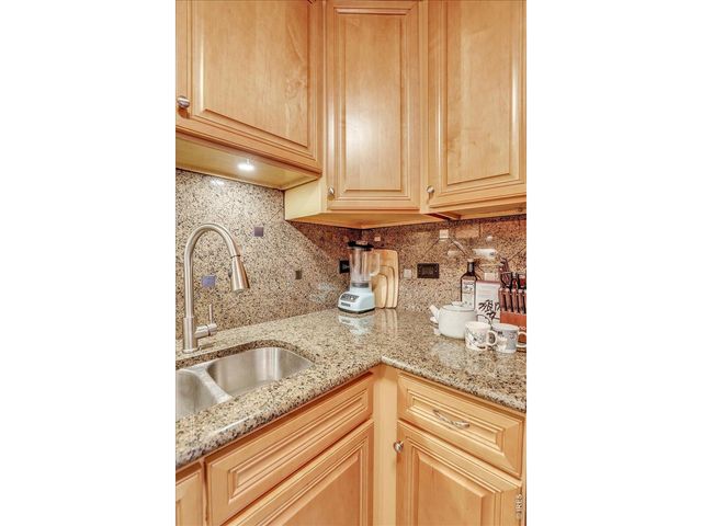 1029 E 8th Ave 903, Denver, CO 80218