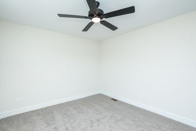1009 Spring Street, Manteno, IL 60950