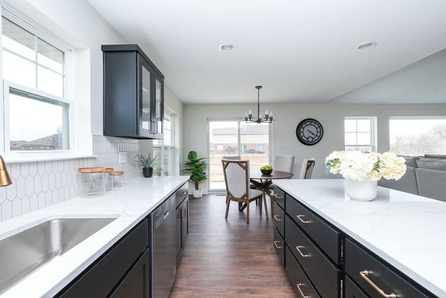 1009 Spring Street, Manteno, IL 60950