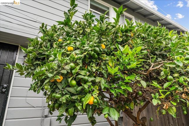1802 Second M, Alameda, CA 94501