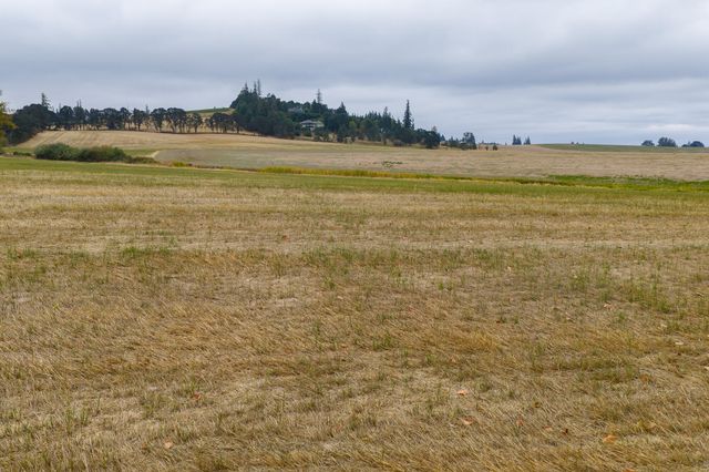 0 Oak Grove (Parcel 3) Road, Albany, OR 97321