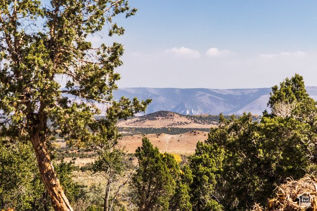 8750 N 6000 W, Neola, UT 84053