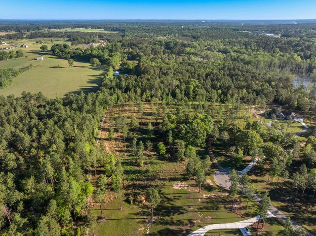 23 McBriar, Purvis, MS 39475