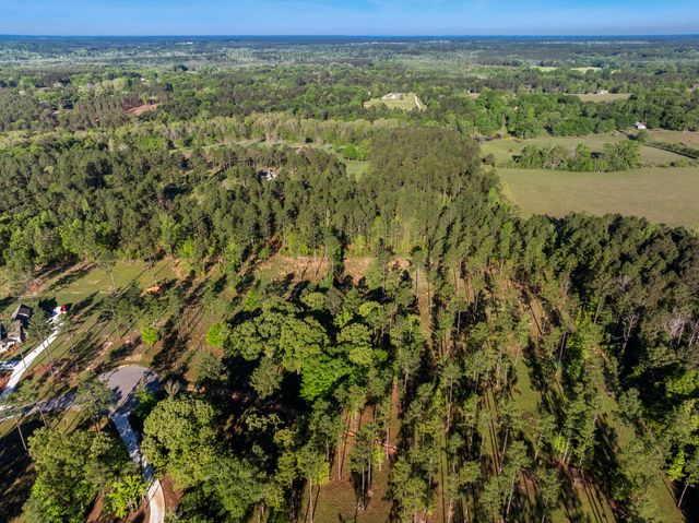 23 McBriar, Purvis, MS 39475