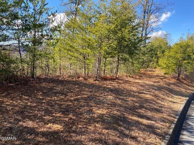 1824 Pinestand Ridge Way, Sevierville, TN 37862