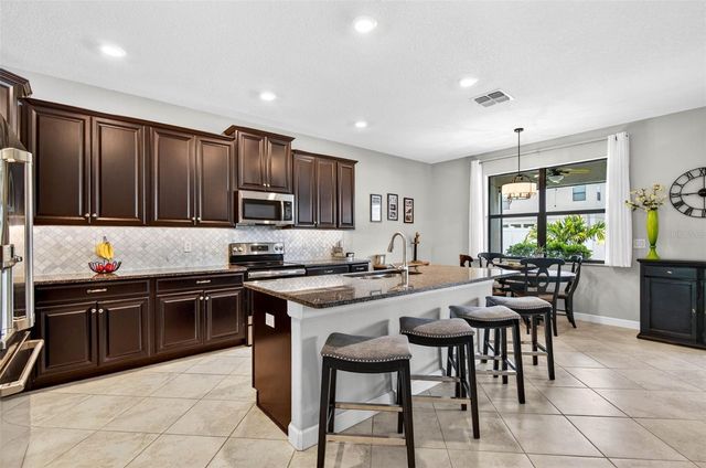 13242 SATIN LILY DRIVE, Riverview, FL 33579