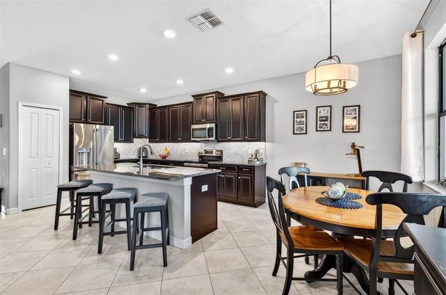 13242 SATIN LILY DRIVE, Riverview, FL 33579